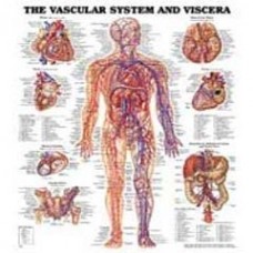 Biological Charts